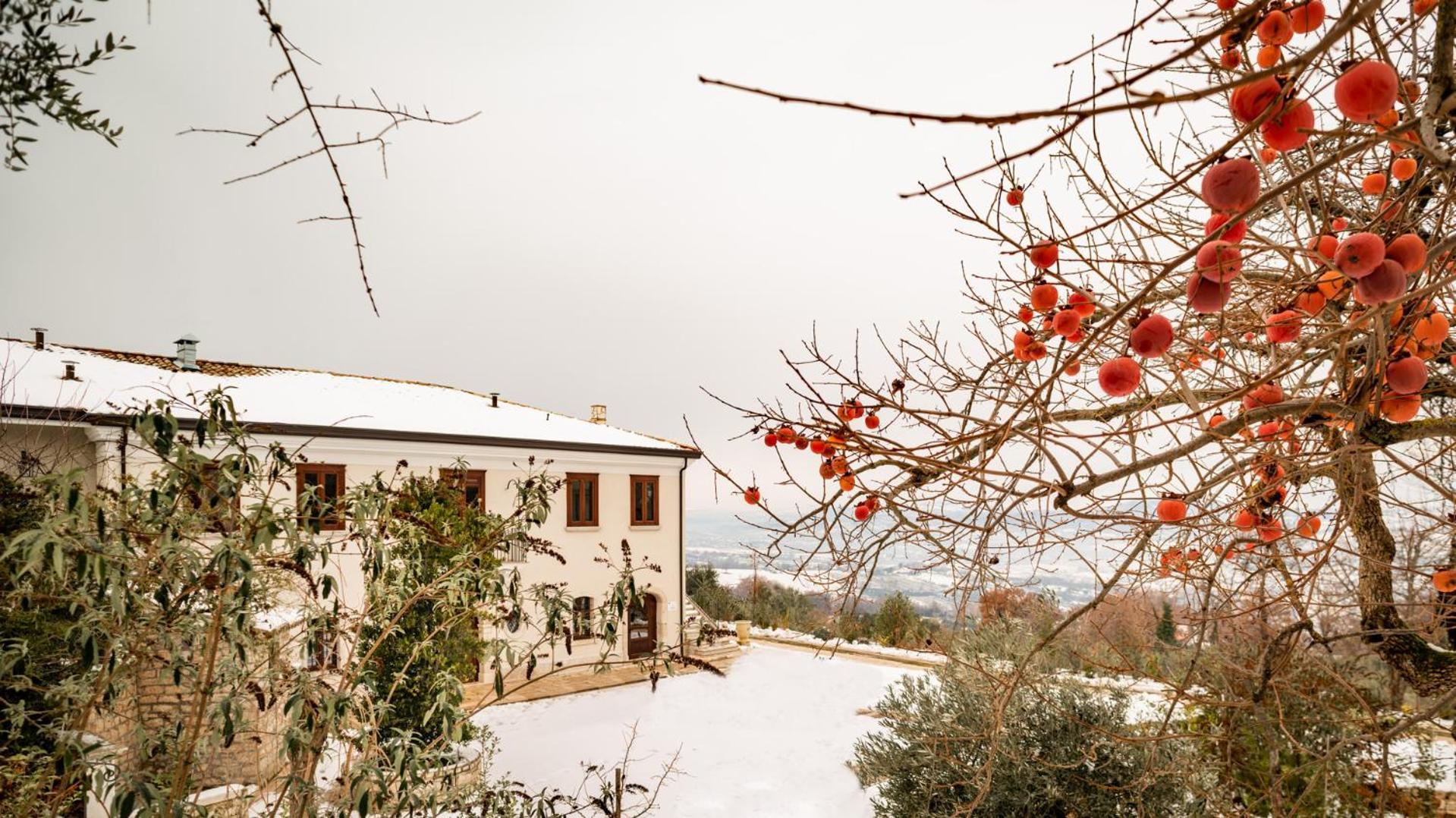 Il Mulino Della Signora Luxury Country House Frigento ภายนอก รูปภาพ